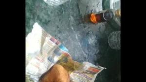 काम वाली बाई को किचन में चोदा