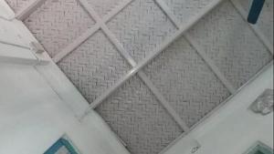 Pussy of indian maid exposed