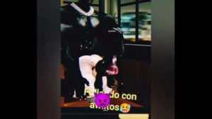 Sexo con novia imvu me pide subirla en xvideos