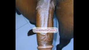 QOCKBHOIDAPIPPER -Tribute For A Fan(Cipototes) E57[SUBSCRIBE TO MY MEMBERSHIP FOR FULL LENGTH VIDEOS]