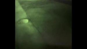 うれしいね！ポルノハブチャンネル開設！