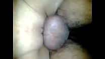DMlsnC doggy