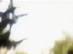 Brazilian guy tries to rub his penis against her ass