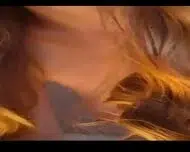 Girl Webcam Dildo Suck Very Relax