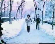 Italian Stallion – 1970 Classic Vintage