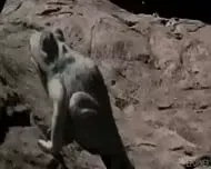 Busty Lesbians On Beach