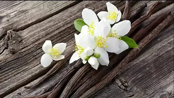 LA PRIMERA GUERRA MUNDIAL EN 20 MINUTOS CORTO Y FACIL YT: Haroo