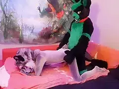 Porn Fursuit Hot