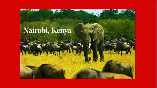 Welcome To Narobi – S3XUS – Summer Vixen