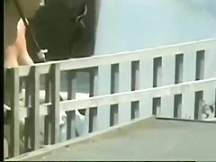 Busty friends sunbathing their intimate zones