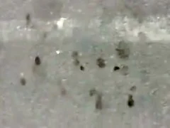 HYD IT Girl shaking sexy ass walk 2