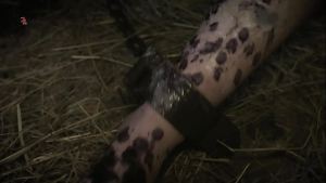 How a cute maid with saggy tits was used and punished for theft in the Middle Ages – Thieving Whore (TRAILER)