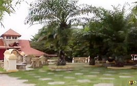 Normi – Videos – JohntronX