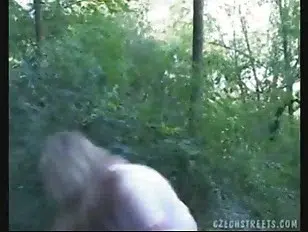 CZECH STREETS – ALICE