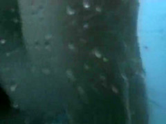 Fantastic Amateur, Beach, Clip Show