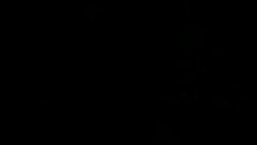 MODEL SCOUT IN ROMANIA