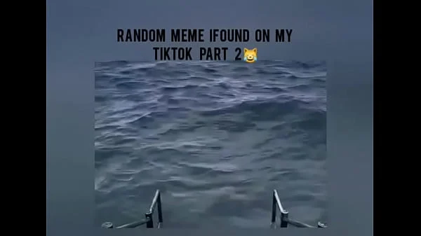 Random meme i found on my tiktok