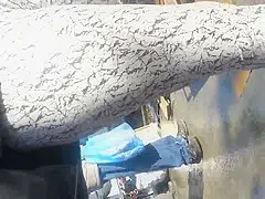 spy sexy teens 18+ cameltoe and leggigns romanian