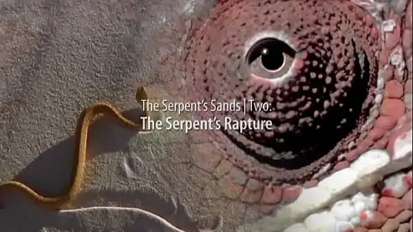 The Serpent’s Sands | Volume 2 | Serpent’s Rapture