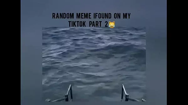 Random meme i found on my tiktok