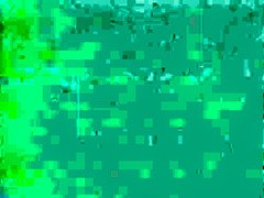 Seymore and Shane do Ireland