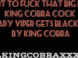 Young Slut Gets Blacked By – King Cobra, Snow Bunny And Lady Viper