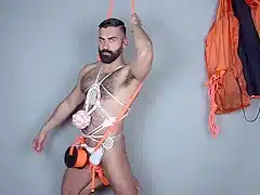 NUDE AUSTRALIAN BEARS