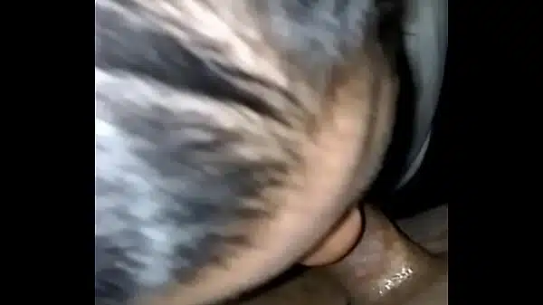 XVideos