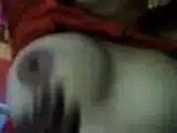 Bangladeshi Mallu Sex