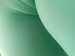 Cameltoe in gas station