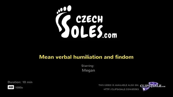 Czech dizi