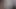 First Hamster Video