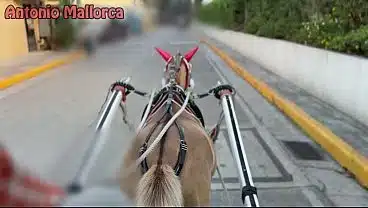 Fucking a Petite Filipina Little Slut Picked Up in Intramuros