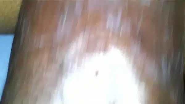 fucking light skin ebony from africa ex-girl