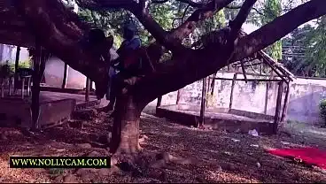 he fucked me on a tree at the back of my shop