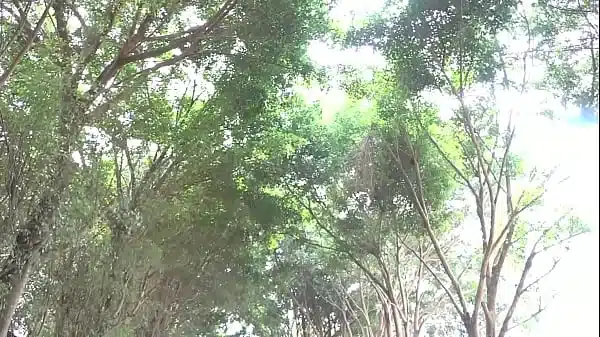 La belle vie du village