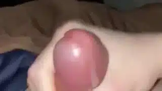 Morning Wood