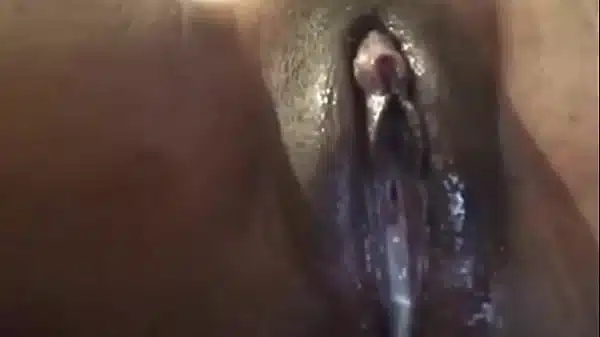 Xvideos
