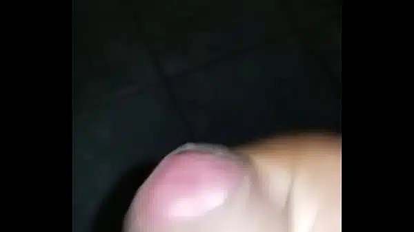 Xvideos