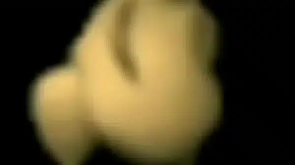 Xvideos