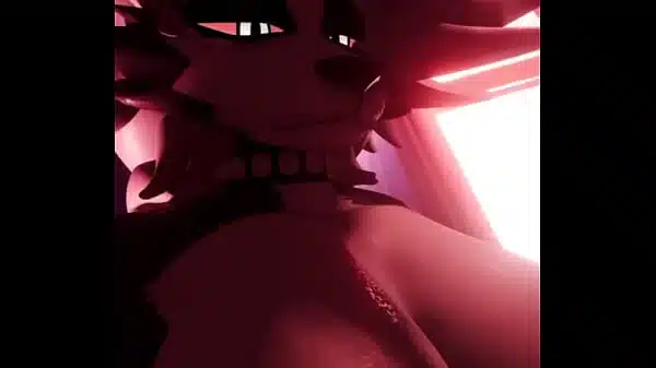 XVIDEOS