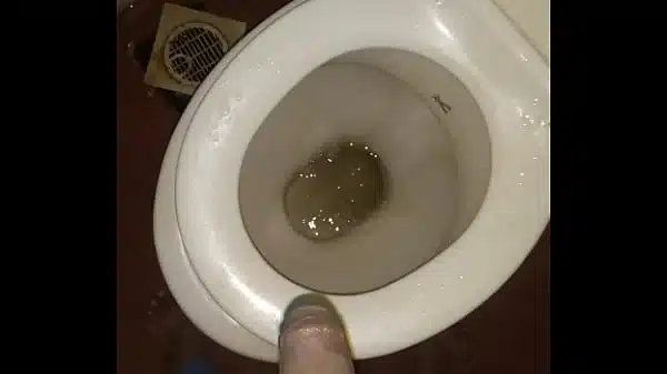 Xvideos
