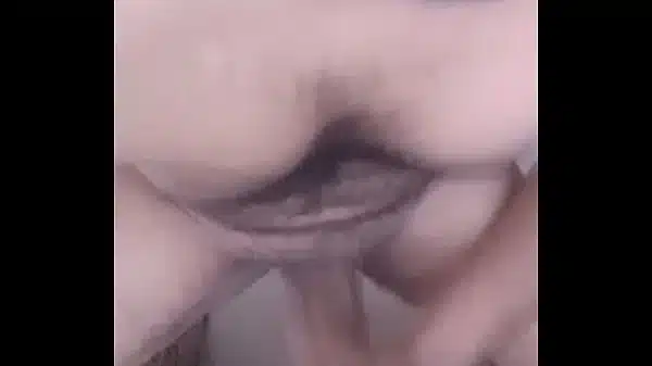 xvideos