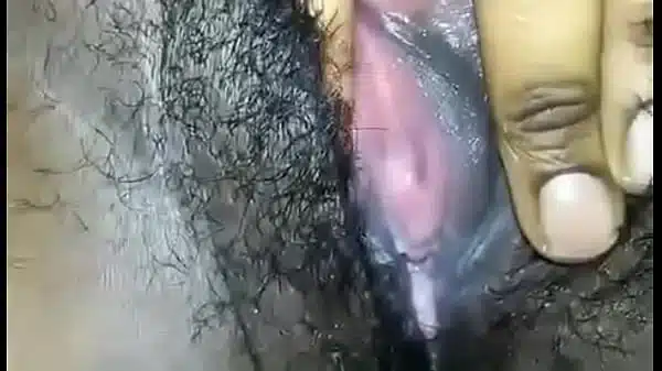 Xvideos