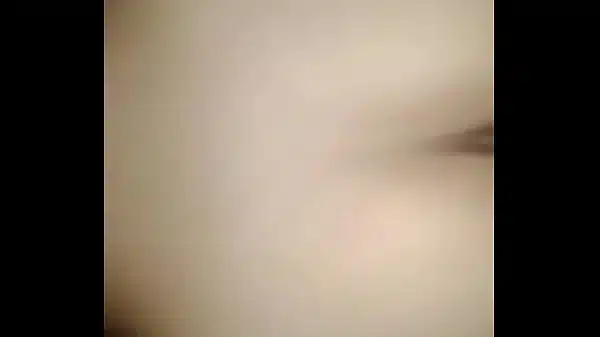 XVideos
