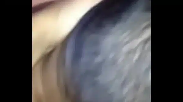 Xvideos