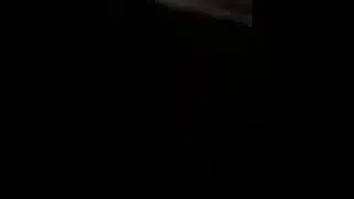 Beautiful girl passionately sucks cock