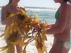 Bikini Beach Babes