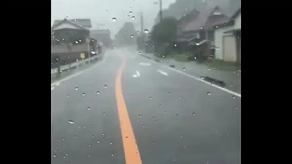 認証動画
