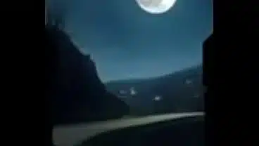 Vídeo de verificação